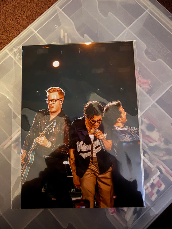 2 Brothers Vertical 5x7 Postcard