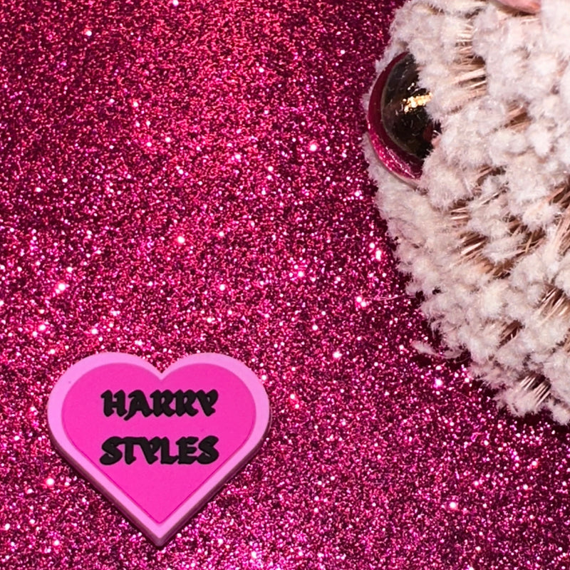 Harry styles best sale croc charm